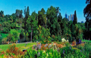 The Royal Botanic Gardens