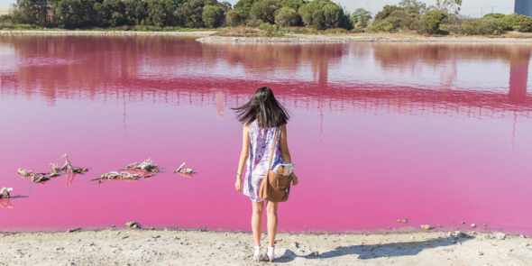 Westgate park pink lake